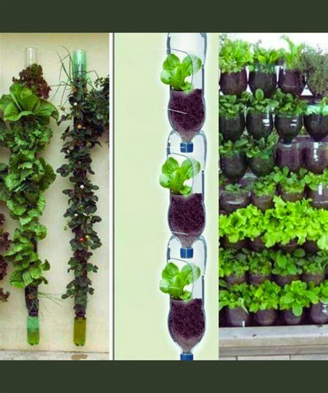 Exemple d'un jardin vertical avec des plants de fraises et d'herbes aromatiques