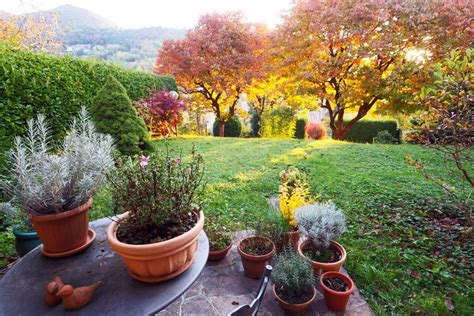Représentation symbolique d'un jardin en automne