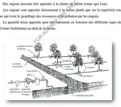 Schéma d'un système de micro-irrigation par goutteurs