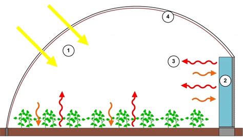 Schéma d'une serre maraîchère moderne avec systèmes d'irrigation