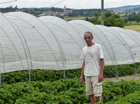 Producteur local dans ses serres