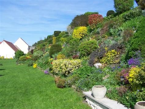 jardin paysager avec talus fleuri de couvre-sols