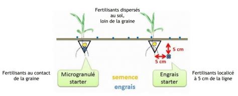 Schéma illustrant la fertilisation localisée au semis dans le sillon