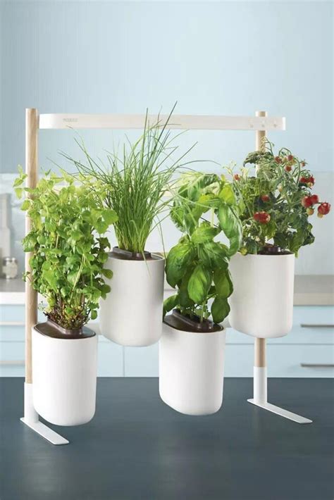 Illustration d'un potager d'intérieur suspendu dans une cuisine moderne