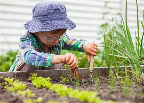Enfant aidant à jardiner dans un potager intérieur