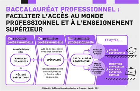 Infographie présentant les débouchés professionnels après le Bac Pro