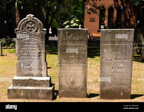 Lierre couvrant une ancienne pierre tombale