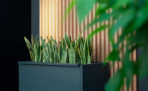 Installation de jardinières métalliques modulaires sur une terrasse urbaine moderne