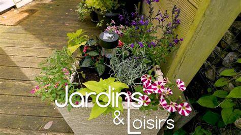 jardin fleuri avec diverses plantes en pot et en pleine terre