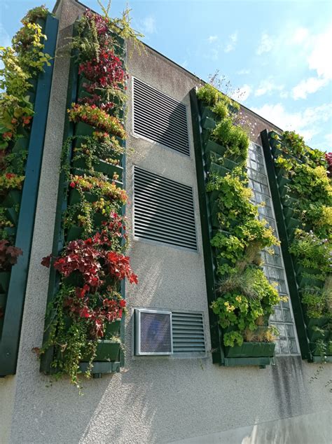 Structure verticale végétalisée sur un mur de terrasse