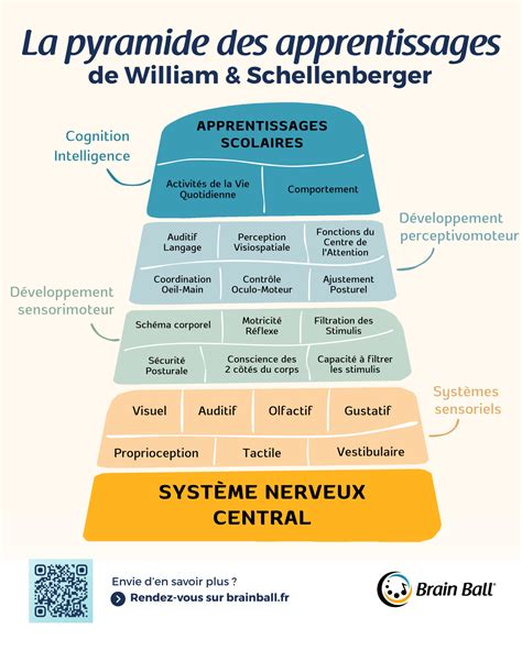 Infographie présentant le tryptique Apprenti/Entreprise/CFA de l'apprentissage