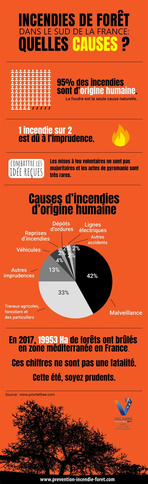 Infographie sur les causes des feux de forêt d'origine humaine