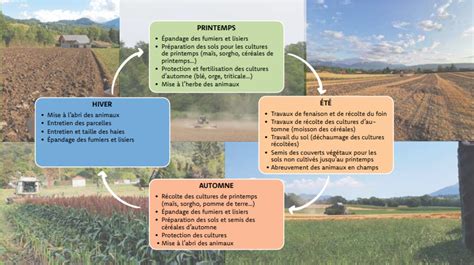 Illustration médiévale représentant les travaux des champs au fil des saisons