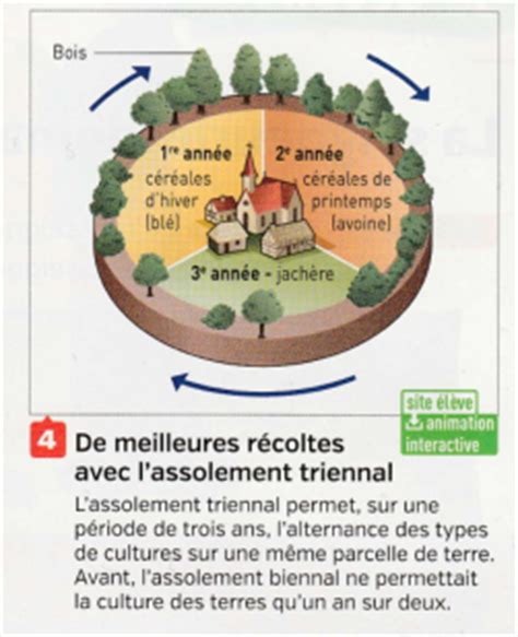 Schéma de l'assolement triennal au Moyen Âge