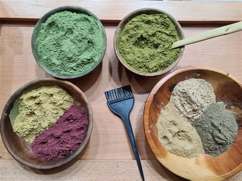 Mélange de poudres végétales pour coloration