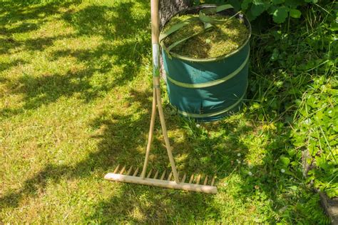 illustration de l'herbe coupée sur une pelouse