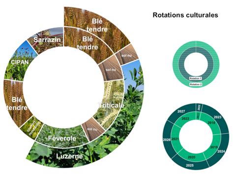 Infographie expliquant le principe de rotation des produits