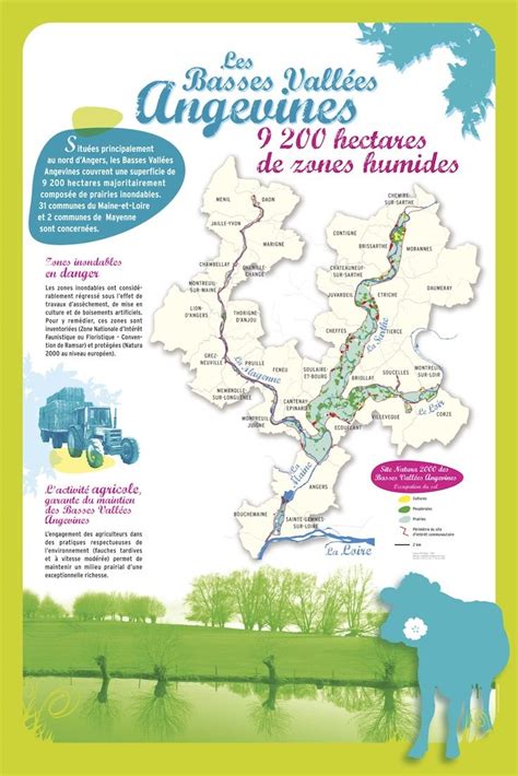 Carte de la région d'Angers et des Basses Vallées Angevines, avec Cheffes et Étriché mises en évidence
