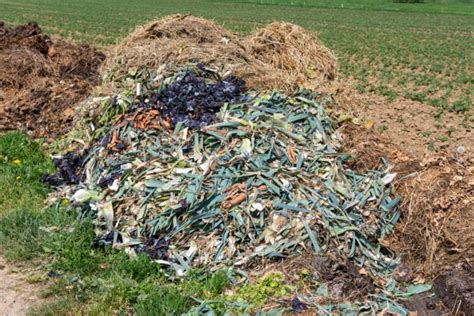 Compostage agricole en tas