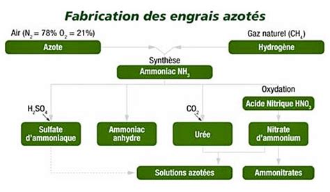 Comparaison des émissions d'ammoniac entre différents engrais azotés