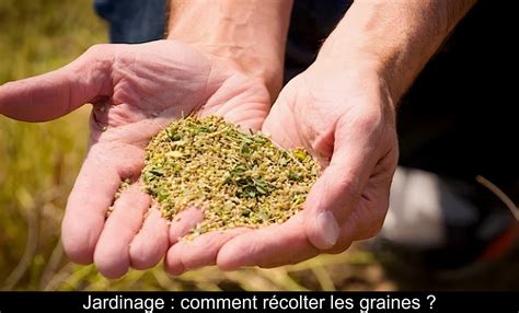 illustration des différentes façons de récolter les graines