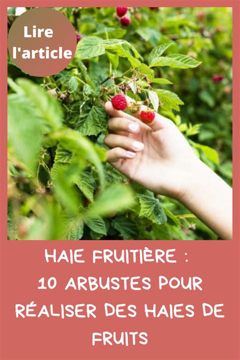 Exemples de fruits de haies fruitières
