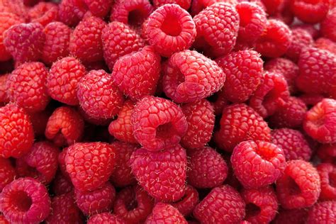 Framboises fraîches et colorées