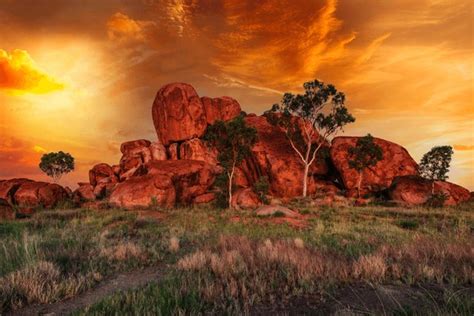 Paysage désertique du Centre Rouge australien au coucher du soleil