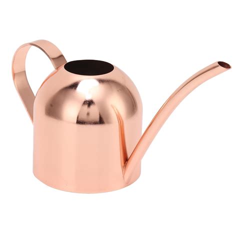 Arrosoir pour bonsaï