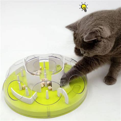 Chat jouant avec un puzzle alimentaire