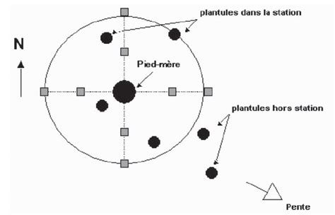 Schéma illustrant la structure d'une placette de relevé phytosociologique dans une pelouse vivace