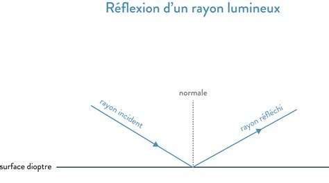 Diagramme illustrant l'effet de réflexion de la lumière par un paillis argenté sur la canopée d'un arbre fruitier.