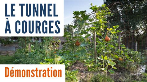 Tunnel de courges en hauteur