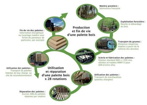 Diagramme illustrant le cycle de vie d'une palette en bois