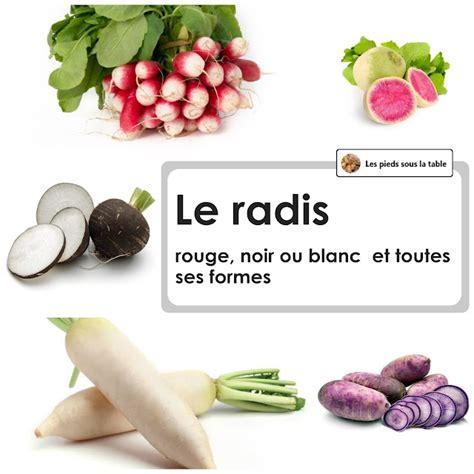 Diagramme des différentes formes de radis
