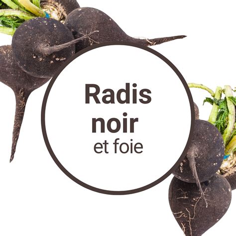 Infographie sur les bienfaits nutritionnels du radis noir