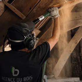 Illustration des différents types de pourritures du bois