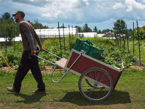 Chariot de récolte Vermont Carts en action