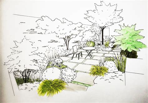 Esquisse de jardin paysager