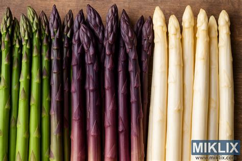Différents types d'asperges (blanches, vertes, violettes)