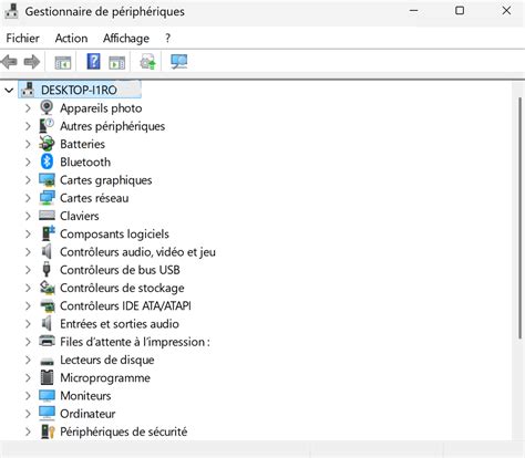 Capture d'écran du Gestionnaire de Périphériques sous Windows