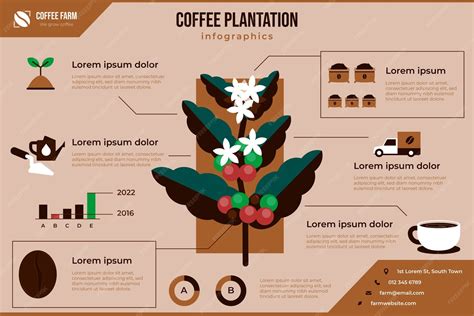 infographie plantation au bol