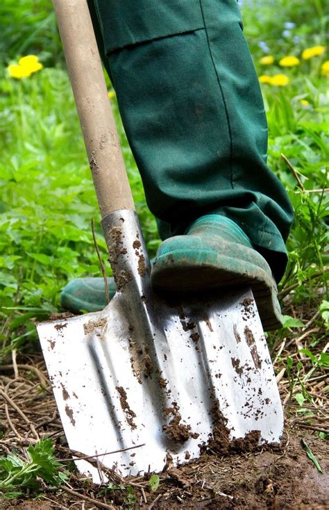 Bêche traditionnelle dans un jardin