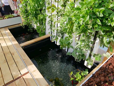 Graines aromatiques diverses pour culture en aquaponie