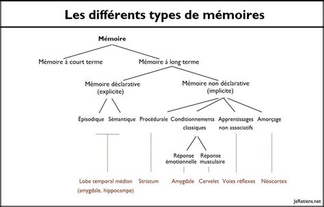 Schéma de la mémoire pour un tableau de 4 entiers