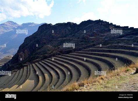 Paysage de terrasses incas dans la Vallée Sacrée