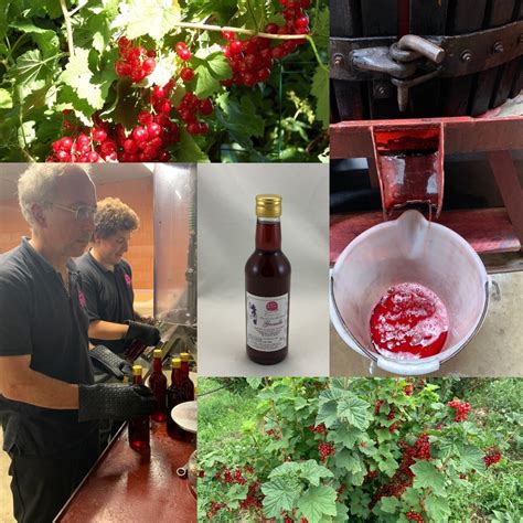 Étagère de produits transformés de la ferme Fruirouge (confitures, boissons, condiments)