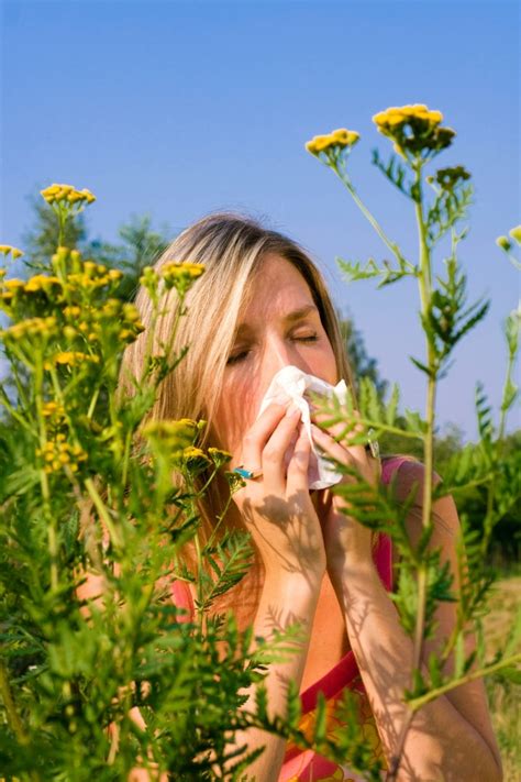Jardin hypoallergénique