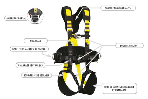 Schéma des points d'ajustement d'un harnais Stihl