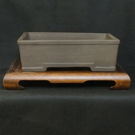 assemblage pot bonsai
